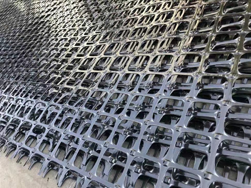 ˫������������դ